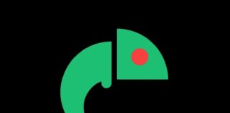 2024 Capital Fringe Review: ‘Chameleon Chronicles’ by Lea Adams (3 stars)