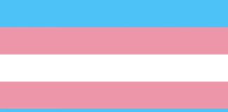 Trans Lives and Theater as Change Agent: A Q&A with Dane Figueroa Edidi and Natsu Onoda Power